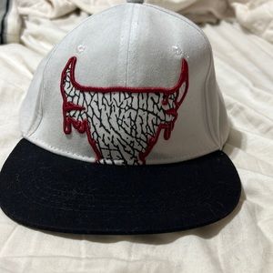 Chicago bulls hat